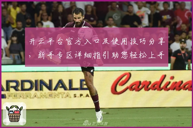 开云平台官方入口及使用技巧分享，新手专区详细指引助您轻松上手