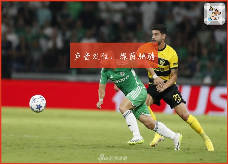 声音定位，绿茵驰骋