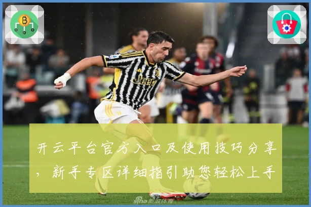 开云平台官方入口及使用技巧分享，新手专区详细指引助您轻松上手