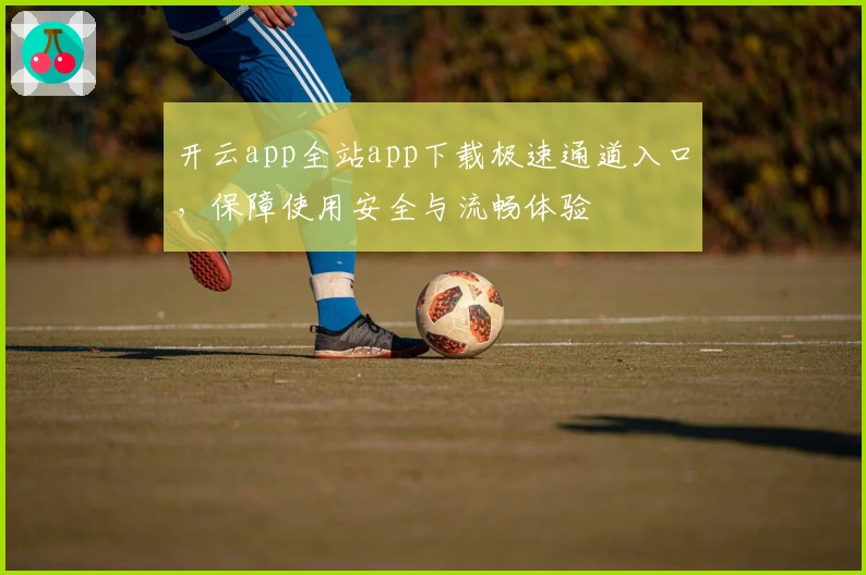 开云app全站app下载极速通道入口，保障使用安全与流畅体验